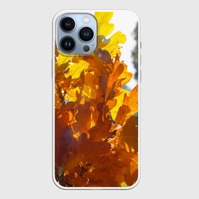 Чехол для iPhone 13 Pro Max с принтом Букет из осенних листьев в Новосибирске,  |  | Тематика изображения на принте: бабье лето | золотая осень | листья желтые | листья осенние | сентябрь | третье сентября