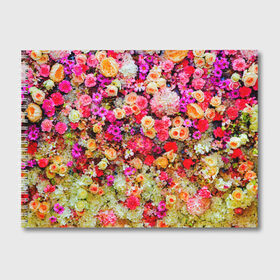 Альбом для рисования с принтом Цветы в Новосибирске, 100% бумага
 | матовая бумага, плотность 200 мг. | Тематика изображения на принте: весна | красивые цветы | красота | милые цветы | орхидея | пион | роза | розы | ромашка | сад | сирень | фиалка | цветок | цветочки | цветы