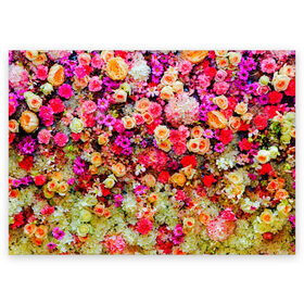 Поздравительная открытка с принтом Цветы в Новосибирске, 100% бумага | плотность бумаги 280 г/м2, матовая, на обратной стороне линовка и место для марки
 | весна | красивые цветы | красота | милые цветы | орхидея | пион | роза | розы | ромашка | сад | сирень | фиалка | цветок | цветочки | цветы