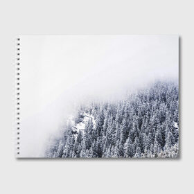 Альбом для рисования с принтом зимний лес в Новосибирске, 100% бумага
 | матовая бумага, плотность 200 мг. | Тематика изображения на принте: зима | зимний лес | лес | снег | сосны