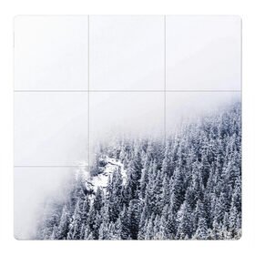 Магнитный плакат 3Х3 с принтом зимний лес в Новосибирске, Полимерный материал с магнитным слоем | 9 деталей размером 9*9 см | Тематика изображения на принте: зима | зимний лес | лес | снег | сосны