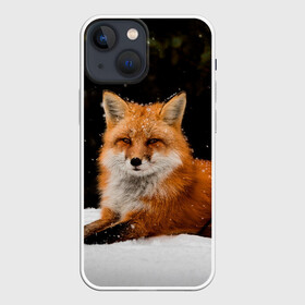 Чехол для iPhone 13 mini с принтом Лиса и снег в Новосибирске,  |  | fox | foxy | животные | звери | зима | зимняя | лиса | лисичка | лисы | природа | снег | снежная