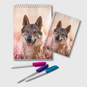 Блокнот с принтом Красивый Волк в Новосибирске, 100% бумага | 48 листов, плотность листов — 60 г/м2, плотность картонной обложки — 250 г/м2. Листы скреплены удобной пружинной спиралью. Цвет линий — светло-серый
 | wolf | wolfs | волк | волки | волчара | животные | звири | лес | природа