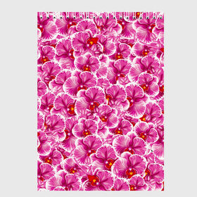 Скетчбук с принтом Розовые орхидеи в Новосибирске, 100% бумага
 | 48 листов, плотность листов — 100 г/м2, плотность картонной обложки — 250 г/м2. Листы скреплены сверху удобной пружинной спиралью | fashion flowers | pink | tropical | азия | бабочки | бразилия | букет | бутоны | джунгли | лепестки | лето | любимая | марта | нежные | орхидея | подарок | природа | растения | тропики | тропические | узор | цветение
