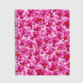 Тетрадь с принтом Розовые орхидеи в Новосибирске, 100% бумага | 48 листов, плотность листов — 60 г/м2, плотность картонной обложки — 250 г/м2. Листы скреплены сбоку удобной пружинной спиралью. Уголки страниц и обложки скругленные. Цвет линий — светло-серый
 | fashion flowers | pink | tropical | азия | бабочки | бразилия | букет | бутоны | джунгли | лепестки | лето | любимая | марта | нежные | орхидея | подарок | природа | растения | тропики | тропические | узор | цветение