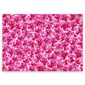Поздравительная открытка с принтом Розовые орхидеи в Новосибирске, 100% бумага | плотность бумаги 280 г/м2, матовая, на обратной стороне линовка и место для марки
 | fashion flowers | pink | tropical | азия | бабочки | бразилия | букет | бутоны | джунгли | лепестки | лето | любимая | марта | нежные | орхидея | подарок | природа | растения | тропики | тропические | узор | цветение