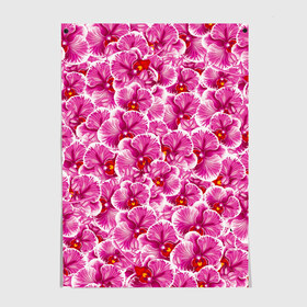 Постер с принтом Розовые орхидеи в Новосибирске, 100% бумага
 | бумага, плотность 150 мг. Матовая, но за счет высокого коэффициента гладкости имеет небольшой блеск и дает на свету блики, но в отличии от глянцевой бумаги не покрыта лаком | fashion flowers | pink | tropical | азия | бабочки | бразилия | букет | бутоны | джунгли | лепестки | лето | любимая | марта | нежные | орхидея | подарок | природа | растения | тропики | тропические | узор | цветение