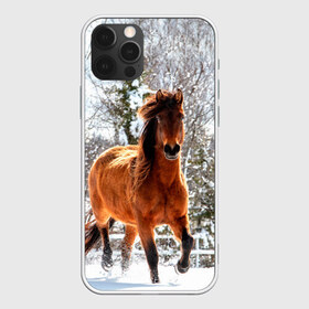 Чехол для iPhone 12 Pro Max с принтом Конь и снег в Новосибирске, Силикон |  | Тематика изображения на принте: животные | звери | зима | кони | конь | коняшка | лошади | лошадка | лошадь | пони | природа | снег
