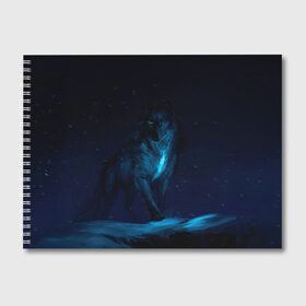 Альбом для рисования с принтом Зимний волк в Новосибирске, 100% бумага
 | матовая бумага, плотность 200 мг. | Тематика изображения на принте: wolf | wolfs | волк | волки | волчара | животные | звери | зима | лес | природа | снег