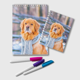 Блокнот с принтом Золотистый Ретривер в Новосибирске, 100% бумага | 48 листов, плотность листов — 60 г/м2, плотность картонной обложки — 250 г/м2. Листы скреплены удобной пружинной спиралью. Цвет линий — светло-серый
 | Тематика изображения на принте: dog | животные | золотистый | золотой | пес | природа | ретривер | собака | собаки | собакчка | собачки