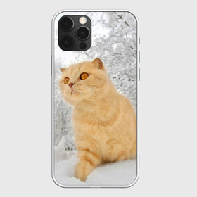 Чехол для iPhone 12 Pro Max с принтом Кот и снег в Новосибирске, Силикон |  | Тематика изображения на принте: cat | животные | звири | кис | киска | кот | котейка | котик | коты | котяра | кошка | кошки | природа