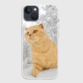 Чехол для iPhone 13 с принтом Кот и снег в Новосибирске,  |  | cat | животные | звири | кис | киска | кот | котейка | котик | коты | котяра | кошка | кошки | природа