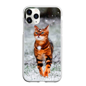 Чехол для iPhone 11 Pro Max матовый с принтом Кот и снег в Новосибирске, Силикон |  | Тематика изображения на принте: cat | животные | звири | кис | киска | кот | котейка | котик | коты | котяра | кошка | кошки | природа
