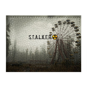 Обложка для студенческого билета с принтом STALKER 2 в Новосибирске, натуральная кожа | Размер: 11*8 см; Печать на всей внешней стороне | gsc game world | s.t.a.l.k.e.r. | stalker | stalker 2 | постапокалиптический шутер | сталкер | сталкер 2 | шутер