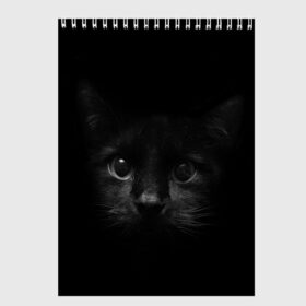 Скетчбук с принтом черный кот в Новосибирске, 100% бумага
 | 48 листов, плотность листов — 100 г/м2, плотность картонной обложки — 250 г/м2. Листы скреплены сверху удобной пружинной спиралью | животные | зайка | заяц | звери | зевающий кот | кися | кот | котенок | котики | коты | кричащий кот | кролик | минимализм | питомцы | прикольные картинки