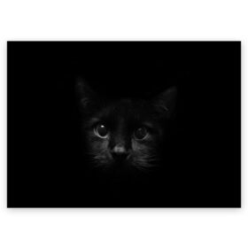 Поздравительная открытка с принтом черный кот в Новосибирске, 100% бумага | плотность бумаги 280 г/м2, матовая, на обратной стороне линовка и место для марки
 | животные | зайка | заяц | звери | зевающий кот | кися | кот | котенок | котики | коты | кричащий кот | кролик | минимализм | питомцы | прикольные картинки