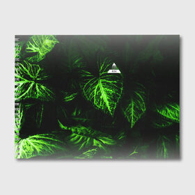Альбом для рисования с принтом Листья зеленые CODE ERROR 404 в Новосибирске, 100% бумага
 | матовая бумага, плотность 200 мг. | 404 | code | error | зеленые | листья