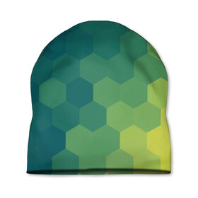 Шапка 3D с принтом Hexagon в Новосибирске, 100% полиэстер | универсальный размер, печать по всей поверхности изделия | орнамент | текстуры | узор | шестиугольник