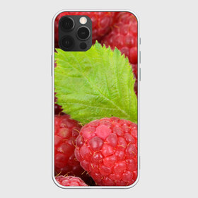 Чехол для iPhone 12 Pro Max с принтом Малина в Новосибирске, Силикон |  | Тематика изображения на принте: еда | красная | красные | лист | листок | листочек | листья | малина | малинка | природа | растение | растения | ягода | ягодка | ягодки | ягоды
