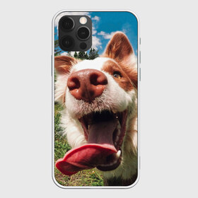 Чехол для iPhone 12 Pro Max с принтом Собака с языком в Новосибирске, Силикон |  | dog | дворняга | дворняжка | зубы | лапы | лес | мем | пес | прикол | слюни | смешные животные | собака | собака с языком | щенок | юмор | язык