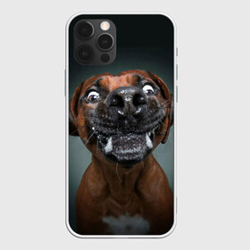 Чехол для iPhone 12 Pro Max с принтом Это всё мне?! в Новосибирске, Силикон |  | dog | зубы | лапы | мем | пес | прикол | слюни | смешные животные | собака | собачка | щенок | это всё мне | юмор | язык