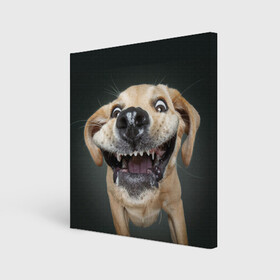 Холст квадратный с принтом Улыбающаяся Собака в Новосибирске, 100% ПВХ |  | dog | зубы | лапы | мем | пес | прикол | слюни | смешные животные | собака | собачка | улыбающаяся собака | улыбка | щенок | юмор | язык