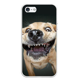 Чехол для iPhone 5/5S матовый с принтом Улыбающаяся Собака в Новосибирске, Силикон | Область печати: задняя сторона чехла, без боковых панелей | dog | зубы | лапы | мем | пес | прикол | слюни | смешные животные | собака | собачка | улыбающаяся собака | улыбка | щенок | юмор | язык