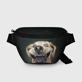 Поясная сумка 3D с принтом Улыбающаяся Собака в Новосибирске, 100% полиэстер | плотная ткань, ремень с регулируемой длиной, внутри несколько карманов для мелочей, основное отделение и карман с обратной стороны сумки застегиваются на молнию | dog | зубы | лапы | мем | пес | прикол | слюни | смешные животные | собака | собачка | улыбающаяся собака | улыбка | щенок | юмор | язык