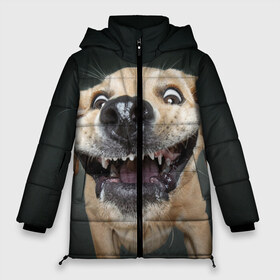Женская зимняя куртка 3D с принтом Улыбающаяся Собака в Новосибирске, верх — 100% полиэстер; подкладка — 100% полиэстер; утеплитель — 100% полиэстер | длина ниже бедра, силуэт Оверсайз. Есть воротник-стойка, отстегивающийся капюшон и ветрозащитная планка. 

Боковые карманы с листочкой на кнопках и внутренний карман на молнии | dog | зубы | лапы | мем | пес | прикол | слюни | смешные животные | собака | собачка | улыбающаяся собака | улыбка | щенок | юмор | язык