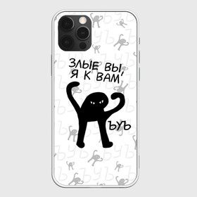 Чехол для iPhone 12 Pro Max с принтом ЪУЪ ЗЛЫЕ ВЫ Я К ВАМ в Новосибирске, Силикон |  | cat | mem | memes | злой | интернет | кот | мем | мем кот | приколы | съука | ъуъ | ъуъ съука