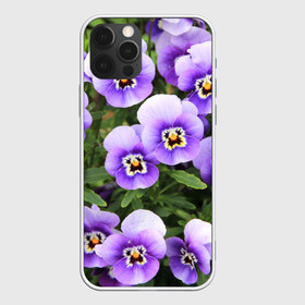 Чехол для iPhone 12 Pro Max с принтом Анютины глазки в Новосибирске, Силикон |  | flowers | анютины глазки | природа | природный | растение | растения | цветок | цветочек | цветочки | цветы