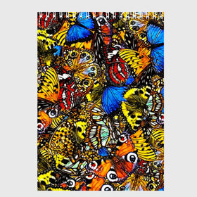 Скетчбук с принтом Ночные Бабочки в Новосибирске, 100% бумага
 | 48 листов, плотность листов — 100 г/м2, плотность картонной обложки — 250 г/м2. Листы скреплены сверху удобной пружинной спиралью | Тематика изображения на принте: animals | butterfly | pattern | акварель | бабочка | бабочки | животные | крылышки | крылья | насекомые | ночные бабочки | паттерн | рисунок | тропические бабочки | цветные бабочки