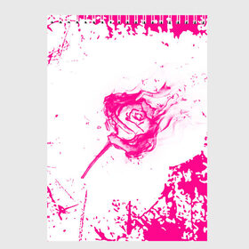 Скетчбук с принтом роза в Новосибирске, 100% бумага
 | 48 листов, плотность листов — 100 г/м2, плотность картонной обложки — 250 г/м2. Листы скреплены сверху удобной пружинной спиралью | видео | мастер класс | поделки из бумаги | популярное | посадка | роза | роза из бумаги | розы | сад | своими руками | цветы
