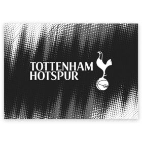 Поздравительная открытка с принтом TOTTENHAM HOTSPUR / Тоттенхэм в Новосибирске, 100% бумага | плотность бумаги 280 г/м2, матовая, на обратной стороне линовка и место для марки
 | club | footbal | hotspur | logo | tottenham | знак | клуб | логотип | логотипы | символ | символы | тоттенхэм | форма | футбол | футбольная | футбольный | хотспур