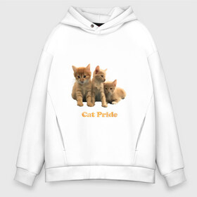 Мужское худи Oversize хлопок с принтом Cat Pride в Новосибирске, френч-терри — 70% хлопок, 30% полиэстер. Мягкий теплый начес внутри —100% хлопок | боковые карманы, эластичные манжеты и нижняя кромка, капюшон на магнитной кнопке | cat | pride | звери | коты и кошки | котята | надпись