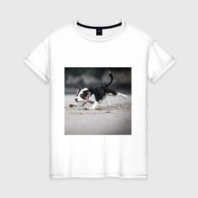 Женская футболка хлопок с принтом собака в Новосибирске, 100% хлопок | прямой крой, круглый вырез горловины, длина до линии бедер, слегка спущенное плечо | веселье | животные | мячик | отдых | собака