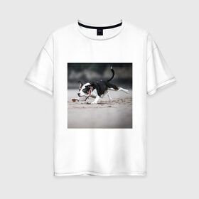 Женская футболка хлопок Oversize с принтом собака в Новосибирске, 100% хлопок | свободный крой, круглый ворот, спущенный рукав, длина до линии бедер
 | веселье | животные | мячик | отдых | собака