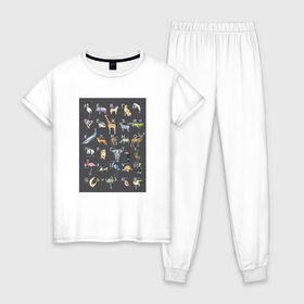 Женская пижама хлопок с принтом футболка в Новосибирске, 100% хлопок | брюки и футболка прямого кроя, без карманов, на брюках мягкая резинка на поясе и по низу штанин | алфавит | буквы | детям | животные | лес | саванна