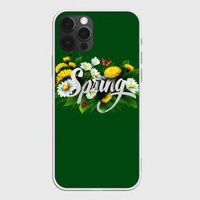 Чехол для iPhone 12 Pro Max с принтом Весна в Новосибирске, Силикон |  | Тематика изображения на принте: весна | одуванчики | полевые цветы. | ромашки | цветы