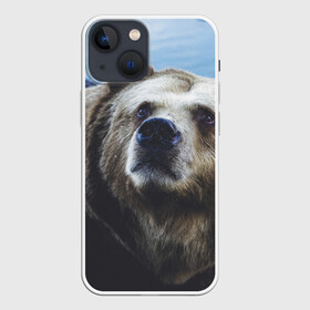 Чехол для iPhone 13 mini с принтом Гризли в Новосибирске,  |  | гризли | зверь | медведь | мишка