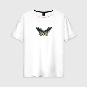 Женская футболка хлопок Oversize с принтом Бабочка в Новосибирске, 100% хлопок | свободный крой, круглый ворот, спущенный рукав, длина до линии бедер
 | бабочка | зеленая бабочка | насекомое