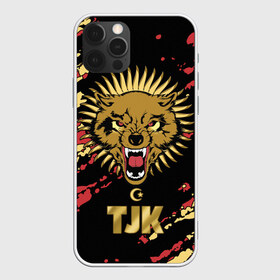 Чехол для iPhone 12 Pro Max с принтом Таджикистан в Новосибирске, Силикон |  | Тематика изображения на принте: crescent | evil | golden | islam | republic | sun | tajikistan | wolf | волк | злой | золотой | ислам | полумесяц | республика | солнце | таджикистан