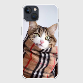 Чехол для iPhone 13 с принтом Кот в шарфе в Новосибирске,  |  | cat | животные | звири | кис | киска | кот | котейка | котик | коты | котяра | кошка | кошки | природа