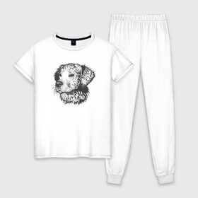 Женская пижама хлопок с принтом Собака в Новосибирске, 100% хлопок | брюки и футболка прямого кроя, без карманов, на брюках мягкая резинка на поясе и по низу штанин | animal | dog | drawing | животное | пёс | рисунок | собака | чб