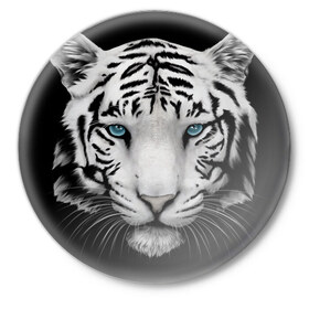 Значок с принтом Белый тигр в Новосибирске,  металл | круглая форма, металлическая застежка в виде булавки | белый тигр | крупный тигр | крупным планом | с голубыми глазами | тигры