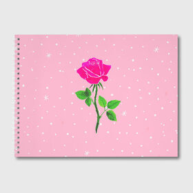 Альбом для рисования с принтом Роза на розовом в Новосибирске, 100% бумага
 | матовая бумага, плотность 200 мг. | женственно | красота | роза | розовый | снежинки | фуксия | цветок | шик