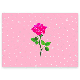 Поздравительная открытка с принтом Роза на розовом в Новосибирске, 100% бумага | плотность бумаги 280 г/м2, матовая, на обратной стороне линовка и место для марки
 | женственно | красота | роза | розовый | снежинки | фуксия | цветок | шик