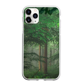 Чехол для iPhone 11 Pro Max матовый с принтом Тропический лес в Новосибирске, Силикон |  | Тематика изображения на принте: деревья | джунгли | зеленый лес | зелень | лес | тропики | тропический лес