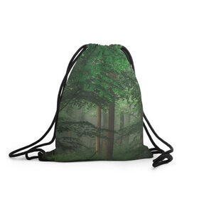 Рюкзак-мешок 3D с принтом Тропический лес в Новосибирске, 100% полиэстер | плотность ткани — 200 г/м2, размер — 35 х 45 см; лямки — толстые шнурки, застежка на шнуровке, без карманов и подкладки | деревья | джунгли | зеленый лес | зелень | лес | тропики | тропический лес