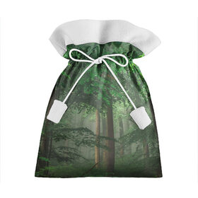 Подарочный 3D мешок с принтом Тропический лес в Новосибирске, 100% полиэстер | Размер: 29*39 см | Тематика изображения на принте: деревья | джунгли | зеленый лес | зелень | лес | тропики | тропический лес